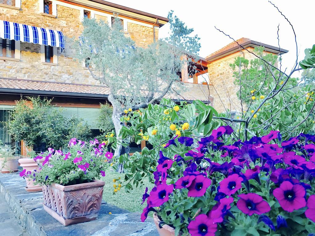 Casa Vacanze Il Cenito Castellabate Dış mekan fotoğraf