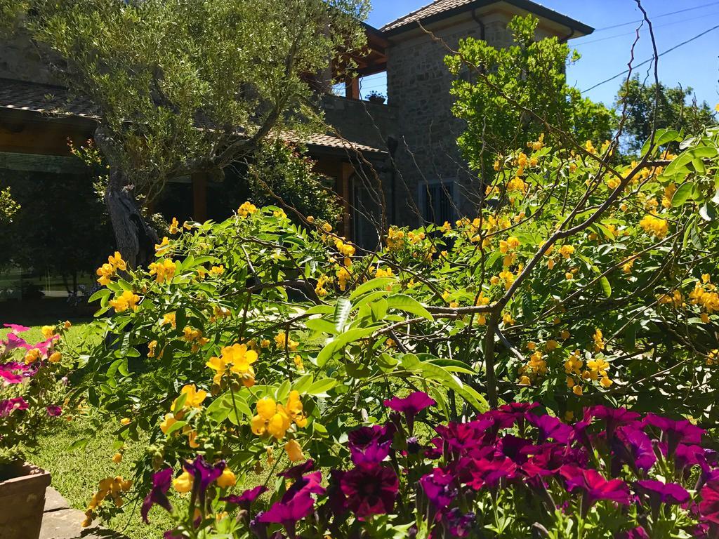 Casa Vacanze Il Cenito Castellabate Dış mekan fotoğraf